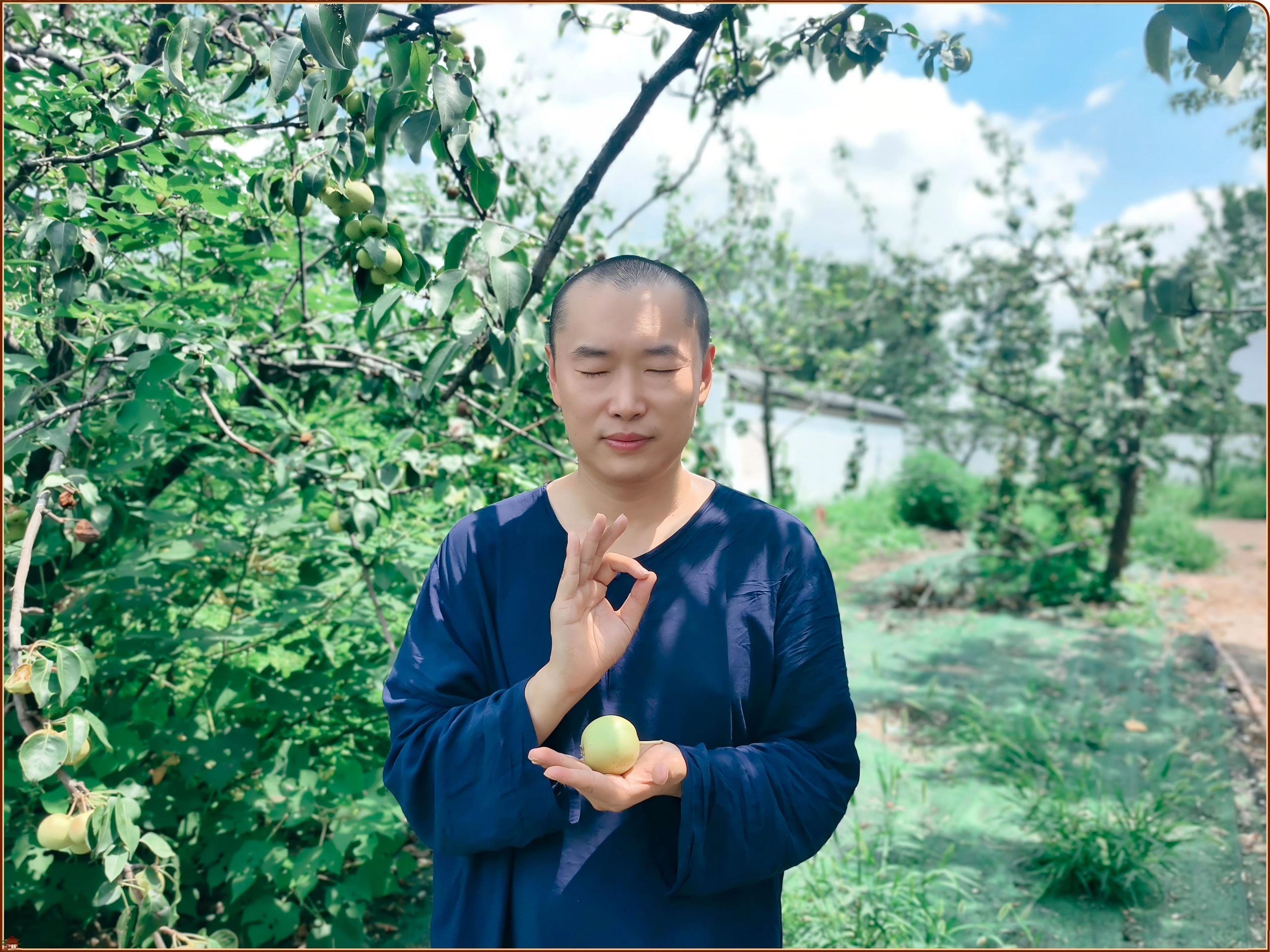 吉梨献瑞，杏福满盈 —— 师父赠果寄深情